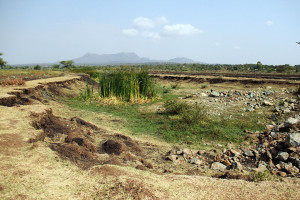 Land degradation affects 67 per cent of Africa. Credit: S.Malyon / CIAT