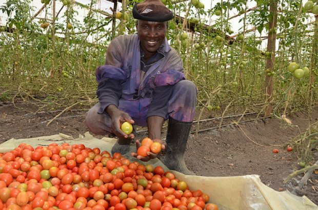 young agripreneur CCAFS