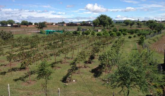 Aerial view of the model agriculture farm