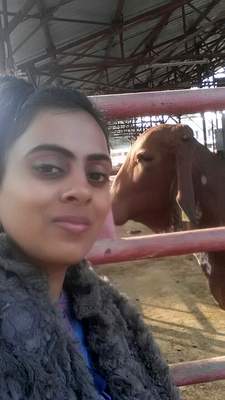 Nikki Pilania Chaudhary