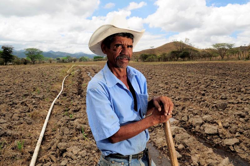 Neil Palmer (CIAT)_4