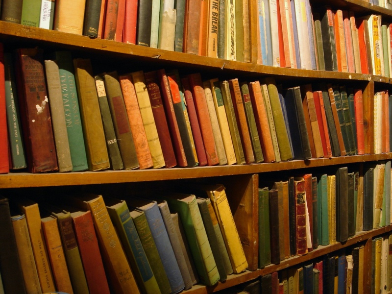 91539531_cf8aff024b_b[1]