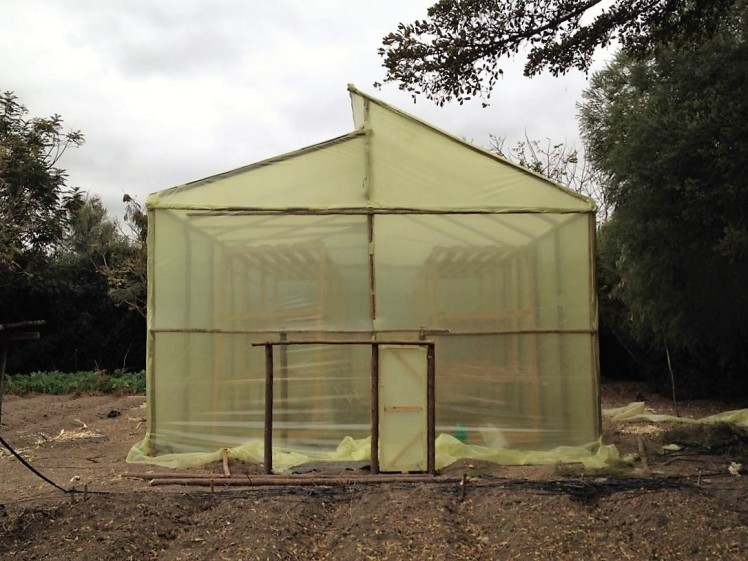 Lillian_finalblogpost(5)