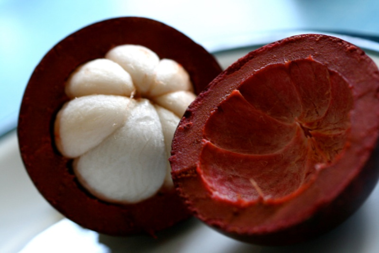 3089168080_832dd72b7f_b