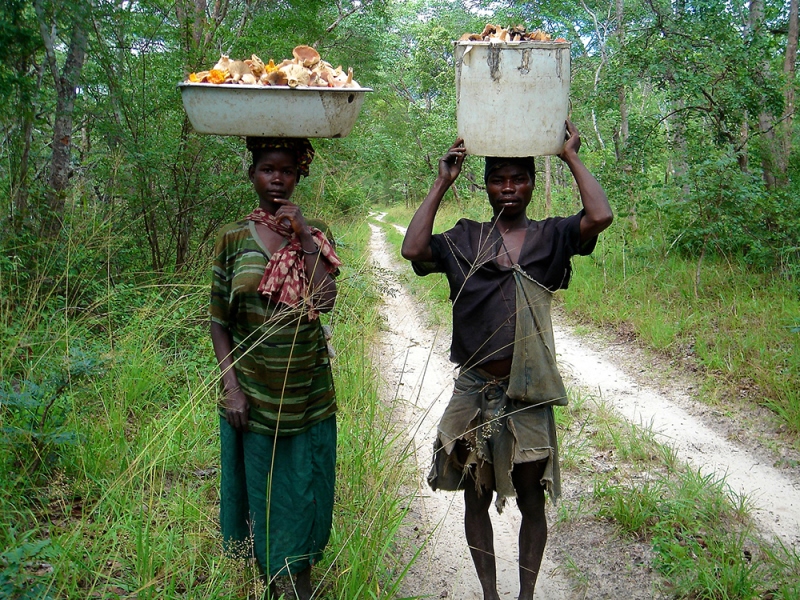 7047112681_dc00cf6cc1_k