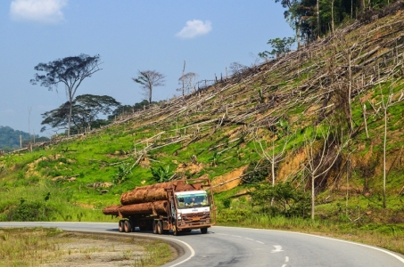 blog_w_jbdodane_flick_viafe_mevanggabon_smaller