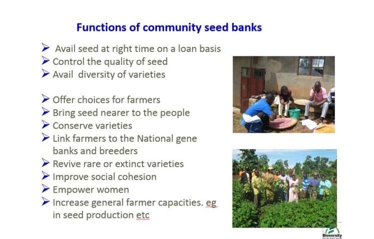 seed banks 1