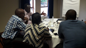 Group discussions on what different actors should do