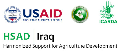Progress of the HSAD initiative in Iraq