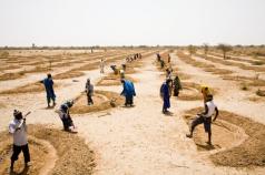  Call for concept notes: IFAD-CCAFS Learning Alliance