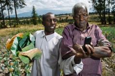 The new yuppies: how to build a new generation of tech-savvy farmers